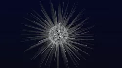 Generic human virus 3D model