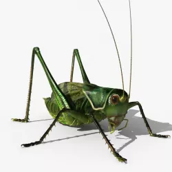 Grasshopper 3D model