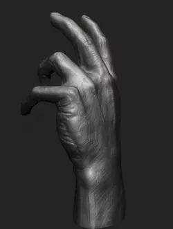 Hand study 3D model