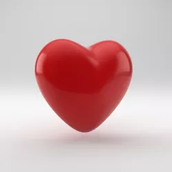 Heart Shape 3D model