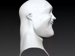 Male Cartoon Head and Bust 3D model