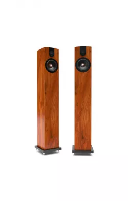 Mini Tower Speakers
