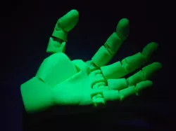 Poseable Human Hand 16 points of Articulation
