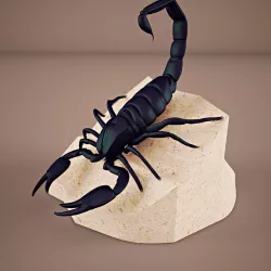 Scorpion 3D model