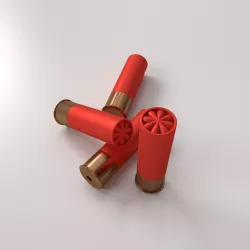 Shotgun Shells 3D model