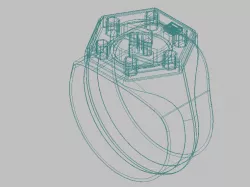 Smarty Ring