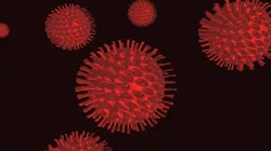 Virus 3D model