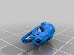 Bat Skull