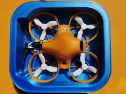 Case for 65mm brushless Tiny Whoops