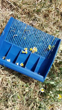 Chamomile collector 