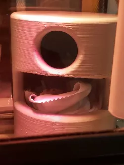 Gecko House