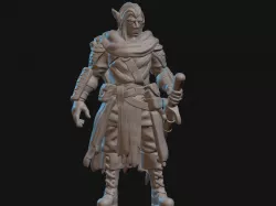 Human/Elf Nature Cleric Miniature