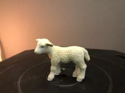 Lamb