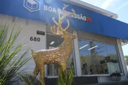 Rena Cida Boa Impressão 3D