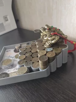 Coins Frog holder