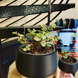 Hanging Pot