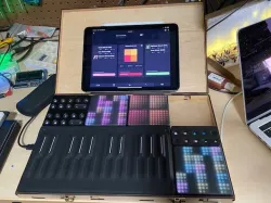 Roli Blocks case
