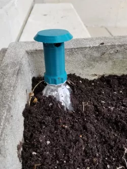 Soda Bottle Ant Traps
