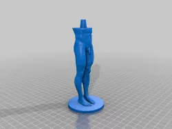 Anatomy reference male body split with socket
