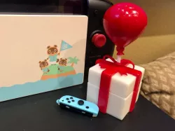 Animal Crossing Flying Present