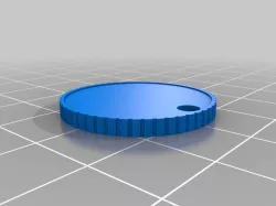 coin keychain