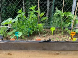 etiquette potager