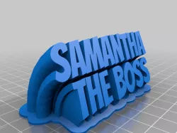 My Customized Sweeping 2-line name plate (samantha the boss )