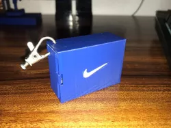 Nike Jordan 1 Shoe with Box (Keychain)