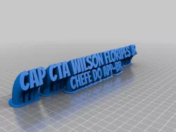 PLATE TEXT