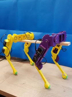 RoboDog (first draft)