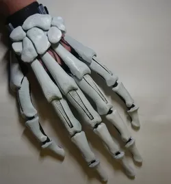 Skeleton skin for my Articulated finger extensions