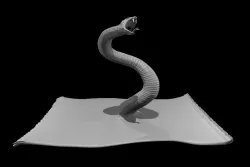Thread-Bound Constrictor Snake
