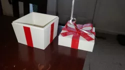Animal Crossing Present Box