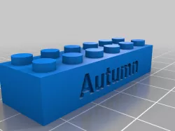 Autumn My Customized LEGO compatible Text Bricks