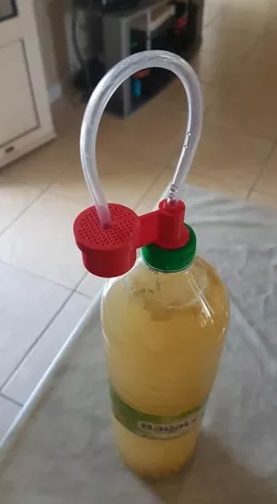 Barboteur, glouglouteuse, fermentation airlock