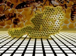 bee hive 3