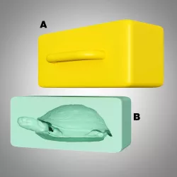 Chinese box turtle sand mold