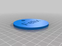 Felix Cat Tag