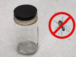 Fly Trap for Mason Jar
