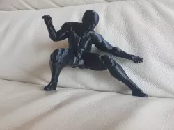 Gray Fox - Ninja from Metal Gear Solid