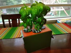 Hydroponic Planter Box (DWC All-In-One)