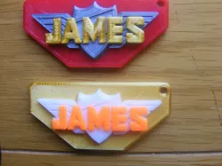 James logo/keyring