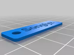 My Customized Keychain Songlyz
