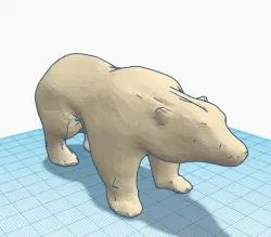 Polar Bear