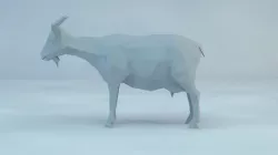 3d low poly goat 3D model