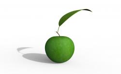 apple leaf texture 3d models 【 STLFinder