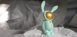 astronaut rabbit - Lapin astronaute