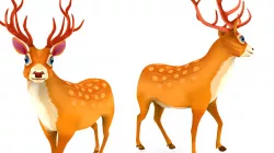 Cartoon Toon Deer Rigged and Animated model Low-poly 3D model