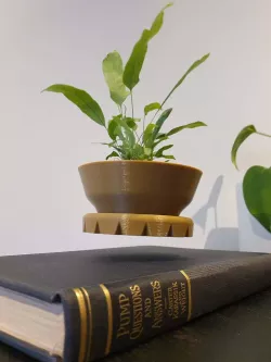 Cool levitating pot plant / planter
