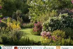 Garden shrub flowers Collection- Include GrowFX and Mesh file  3D model